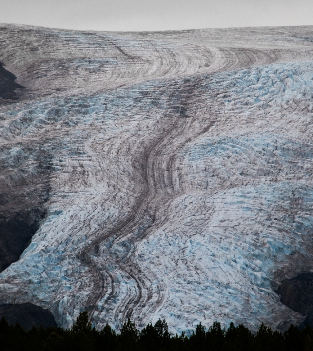 Exit Glacier 6369.jpg